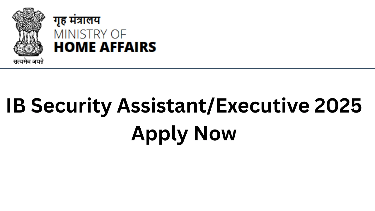 IB Security Assistant/Executive
