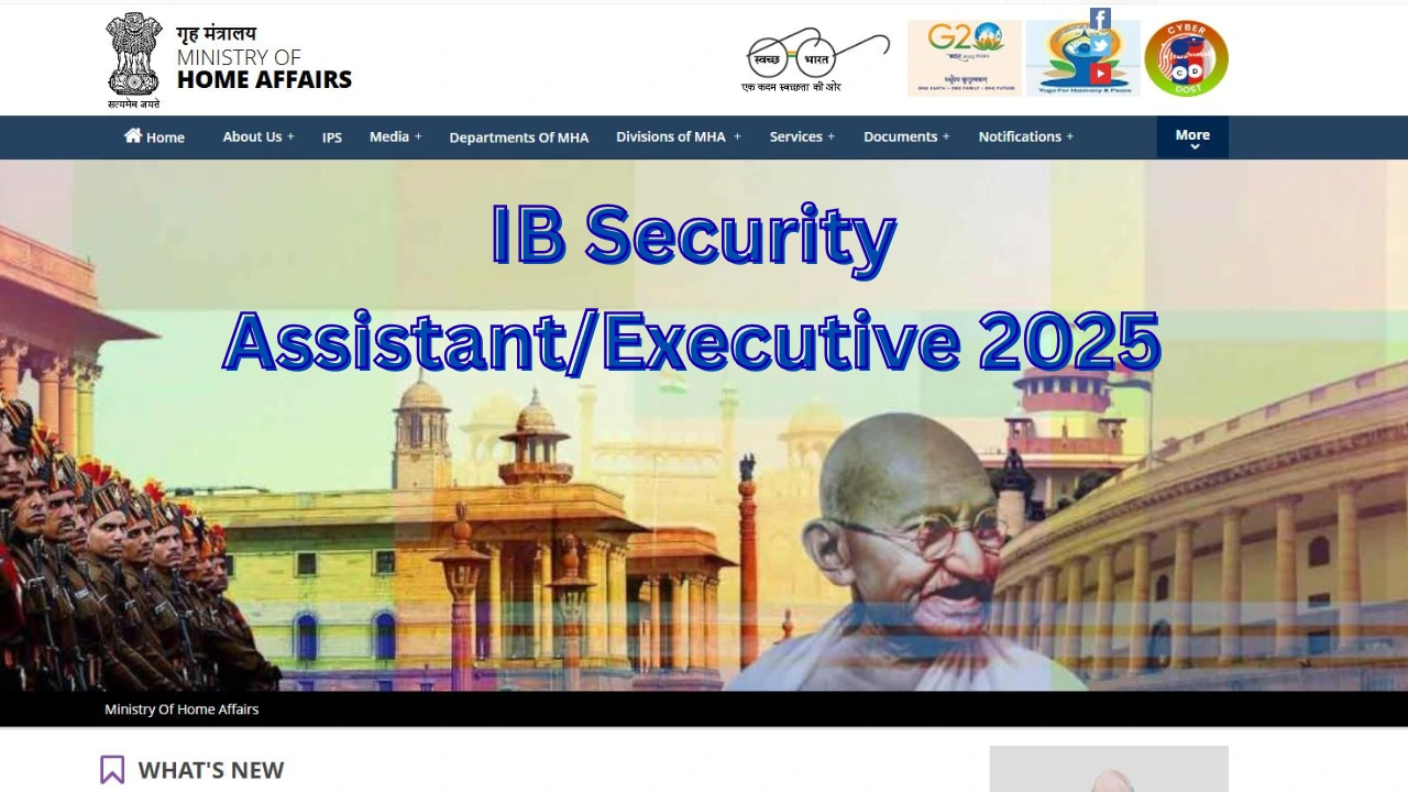 IB Security Assistant/Executive 2025