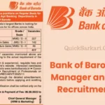 Bank of Baroda Sales Manager